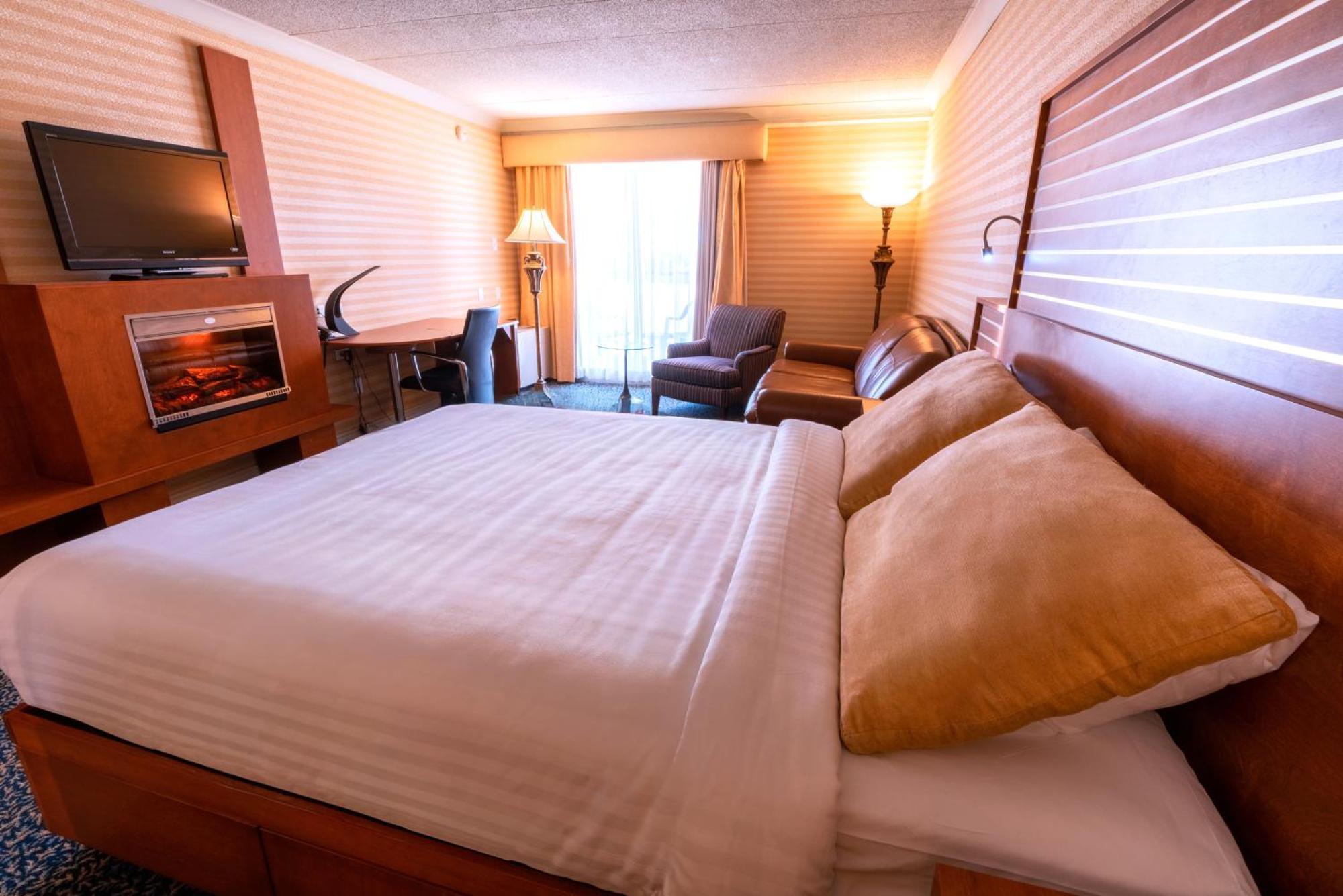 Superior Queen Room Sofa Bed