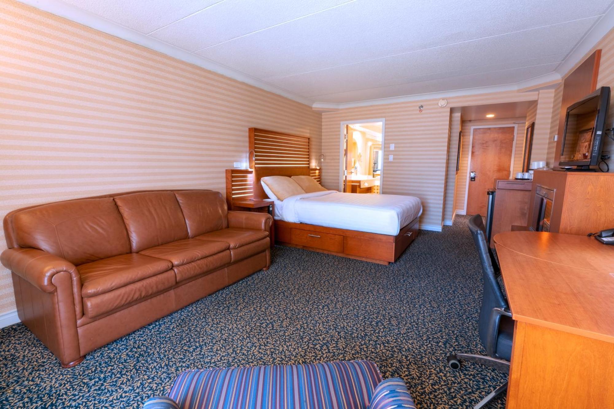 Superior Queen Room Sofa Bed